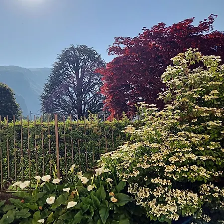 Appartement Perla House