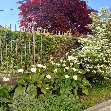 Perla House 아파트 *