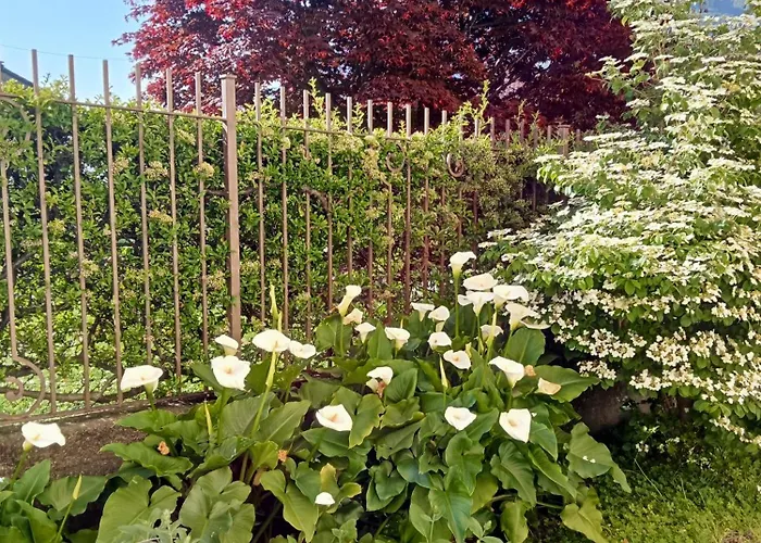 Perla House דירה *